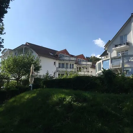Seestern, Vilmblick