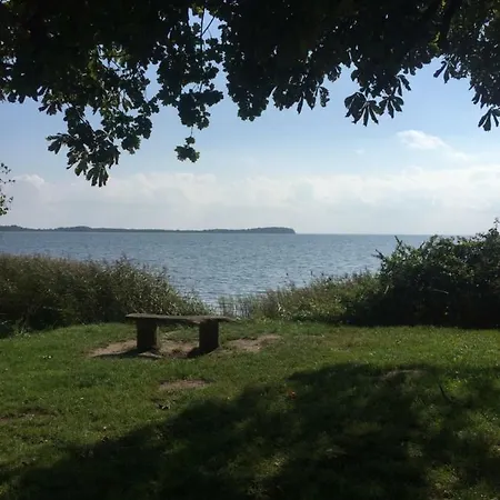 Seestern, Vilmblick *