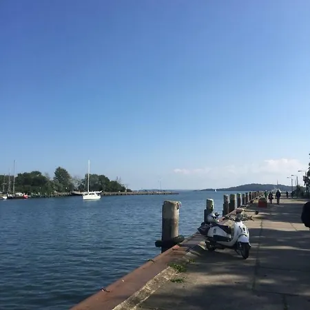 Seestern, Vilmblick