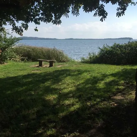 Seestern, Vilmblick *